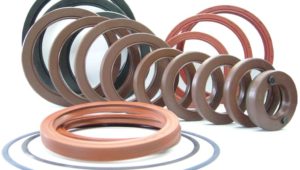 Oil Seals